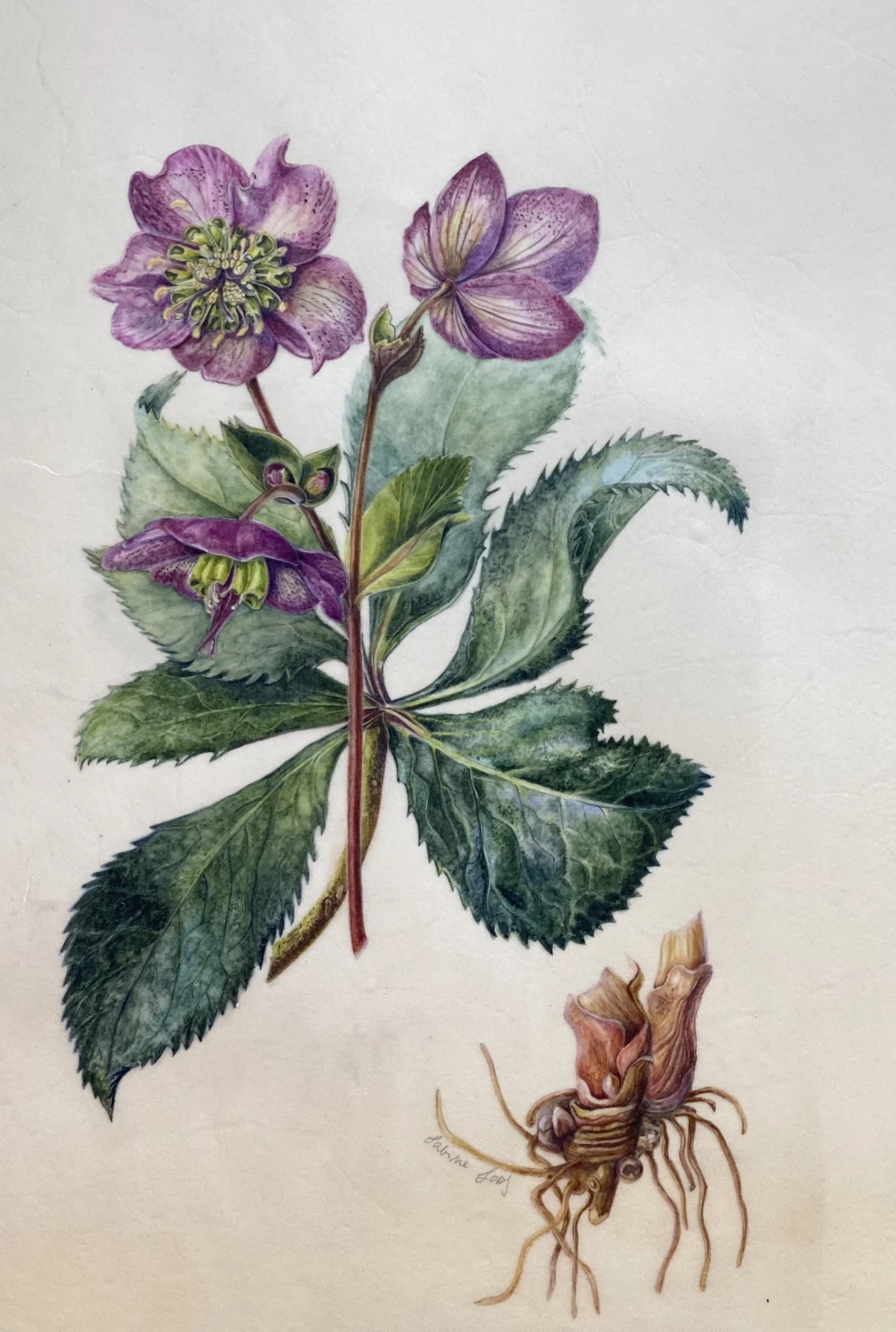 Botanische Blumenkunst von Sabine Loos